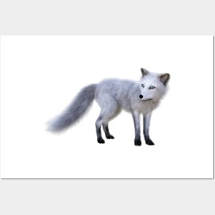 Arctic Fox Posters and Art